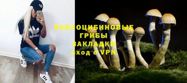 героин Алексин