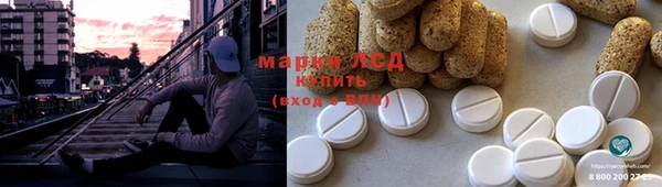 PSILOCYBIN Алзамай