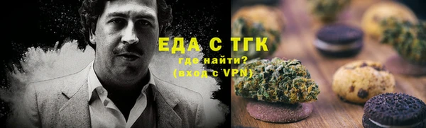 PSILOCYBIN Алзамай