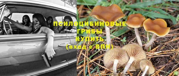 героин Алексин