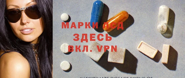 PSILOCYBIN Алзамай