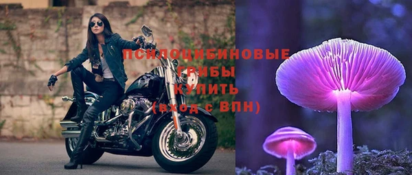 PSILOCYBIN Алзамай