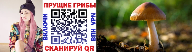 kraken как зайти Кремёнки Псилоцибиновые грибы мухоморы
